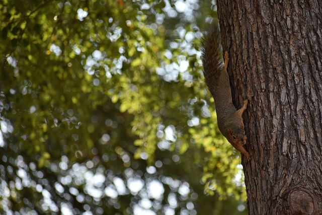 球并依靠中 球并依靠中