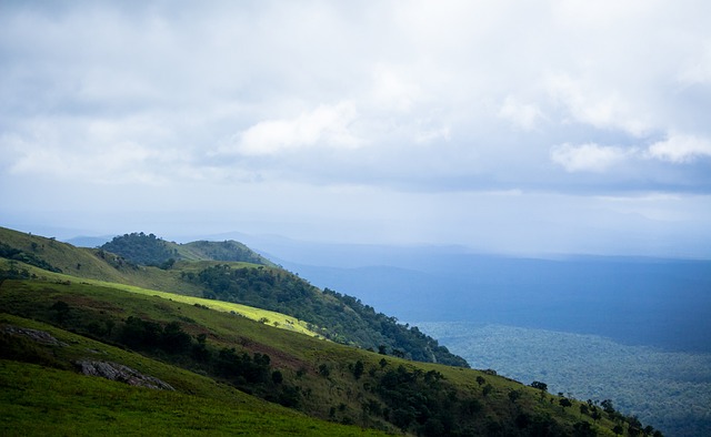 在过去的比 在过去的比