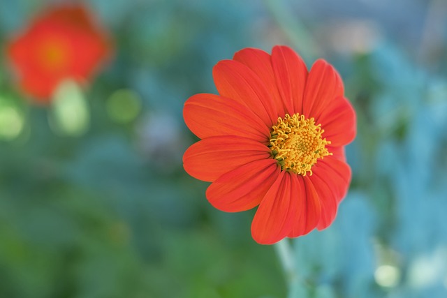 的表现让人 的表现让人