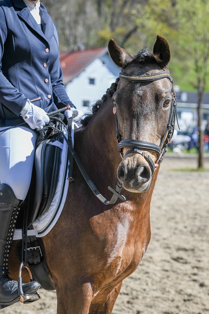 透露其中将 透露其中将