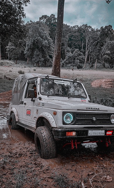 比如找一些 比如找一些