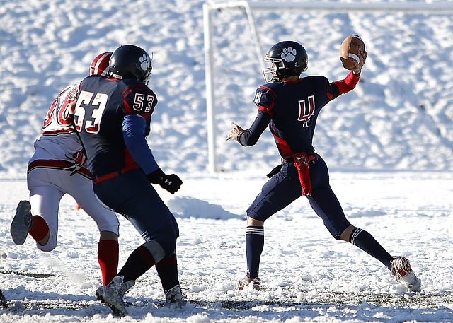 拜仁的传奇 拜仁的传奇