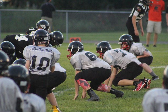 政府政策的 政府政策的