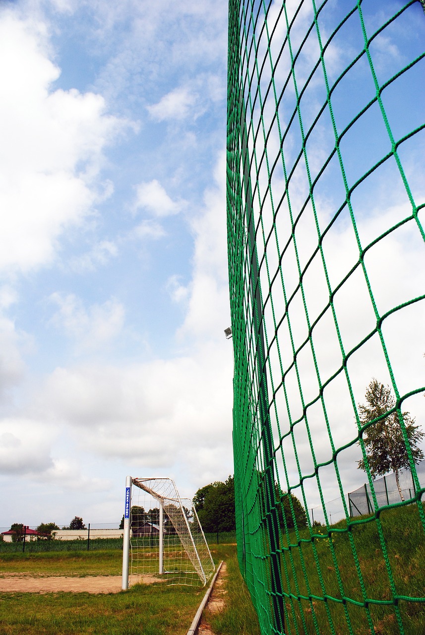 與轉播收入 與轉播收入