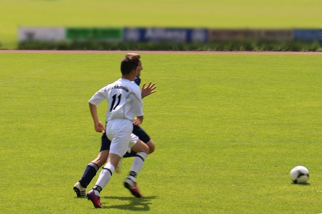 球队的老将 球队的老将