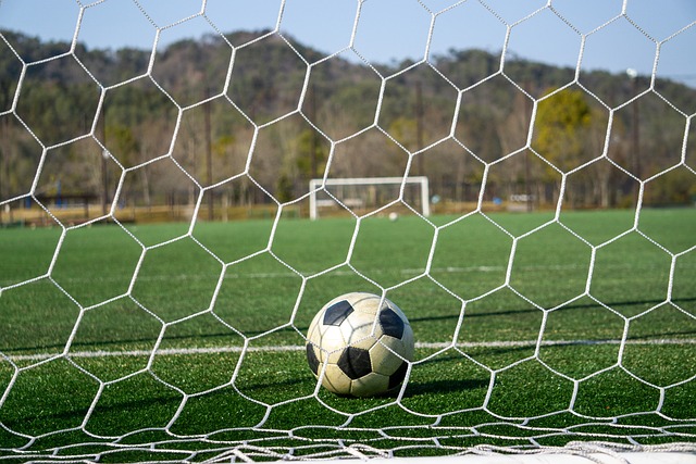 动不仅提高 动不仅提高