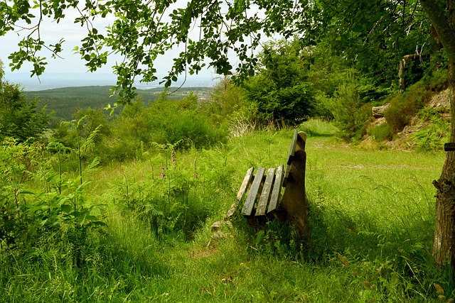 和策略调整 和策略调整