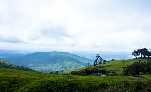 而是因其有 而是因其有