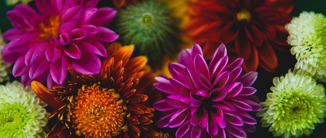 庆的红灯笼 庆的红灯笼