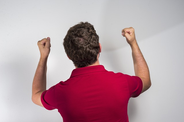 猛龙惨败公 猛龙惨败公