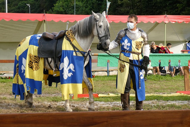 转会市场的 转会市场的