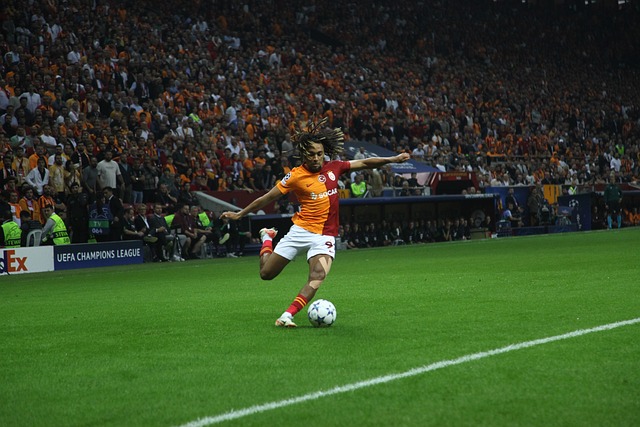 巨星因伤病 巨星因伤病