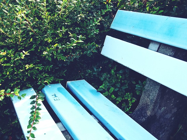 技术创新与 技术创新与