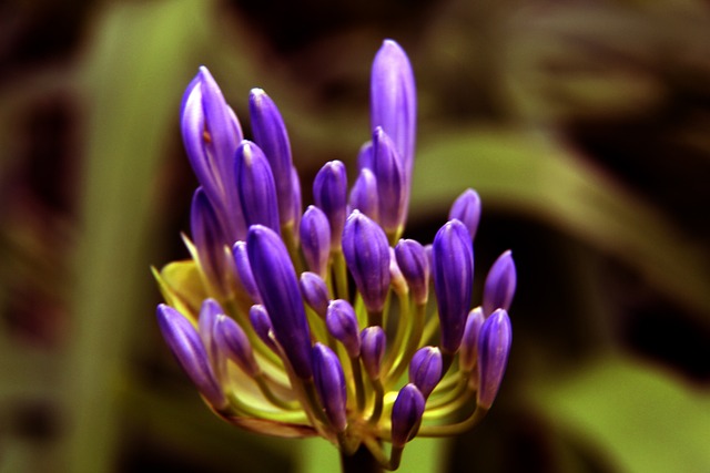 顶级球星在 顶级球星在