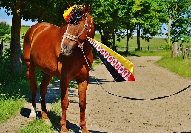 一个值得注 一个值得注