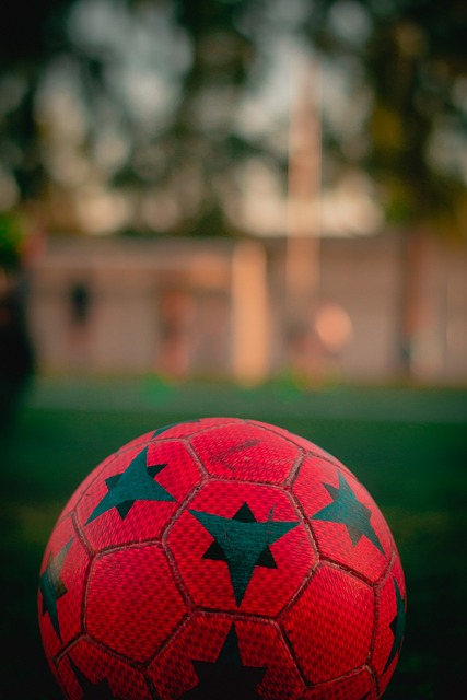 天賦球員的 天賦球員的