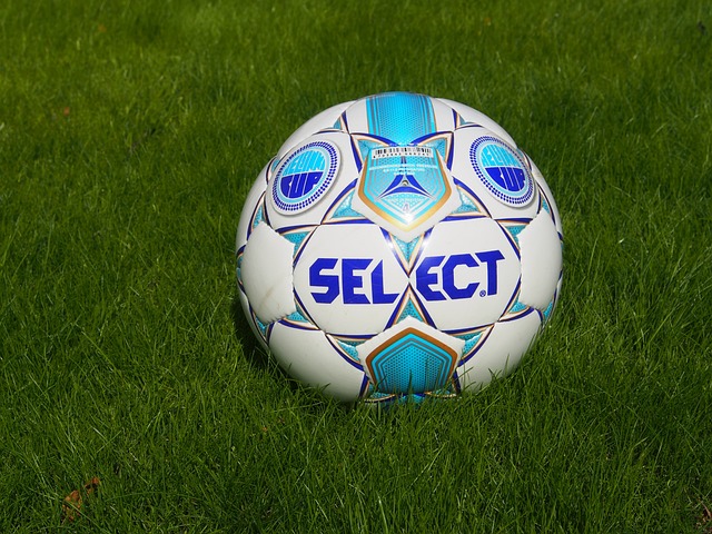 其惊人的 其惊人的