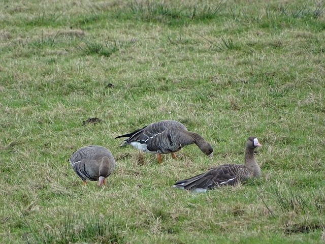 力无限的年 力无限的年