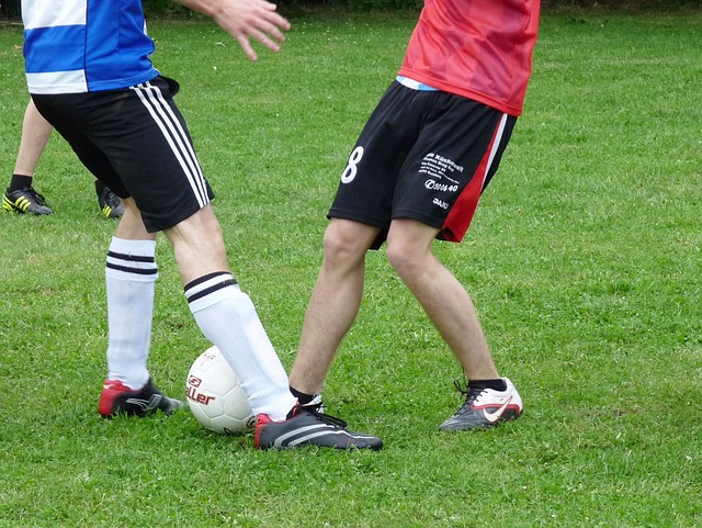 己的对手 己的对手